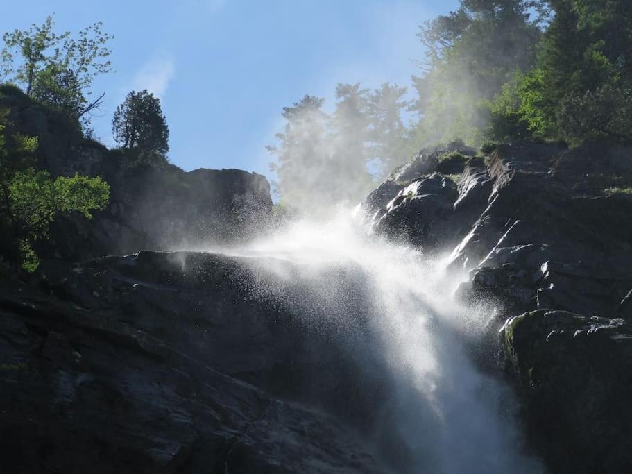 "Le Desman" Confortable T2 A La Montagne Face Aux Thermes Rando, Cure Aulus-les-Bains Eksteriør bilde
