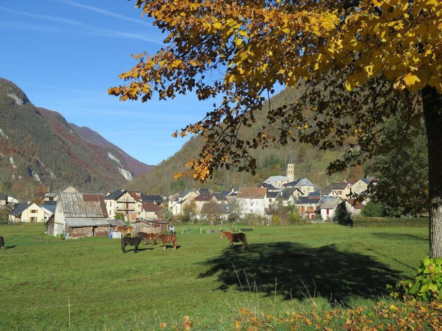 "Le Desman" Confortable T2 A La Montagne Face Aux Thermes Rando, Cure Aulus-les-Bains Eksteriør bilde